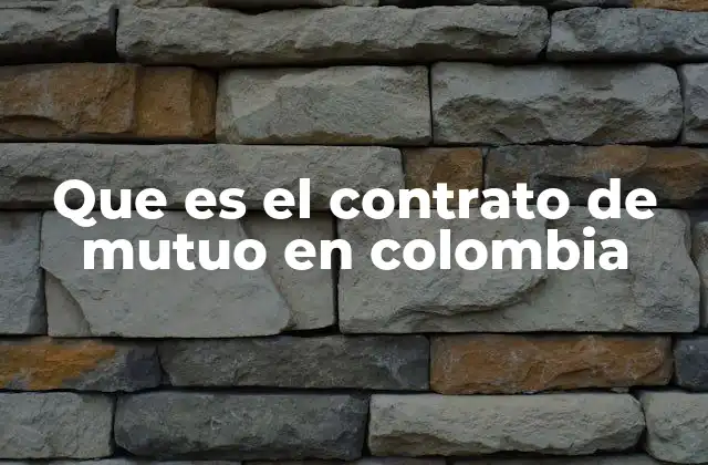 Que es el Contrato de Mutuo en Colombia