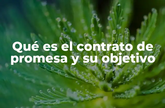 Qué es el Contrato de Promesa y Su Objetivo