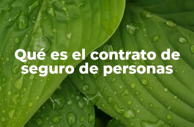 Qué es el Contrato de Seguro de Personas