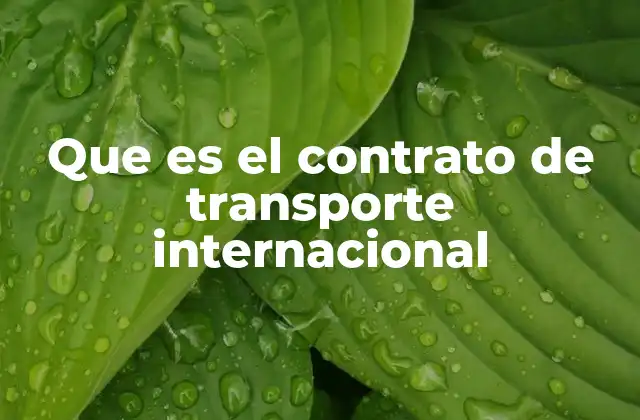 Que es el Contrato de Transporte Internacional
