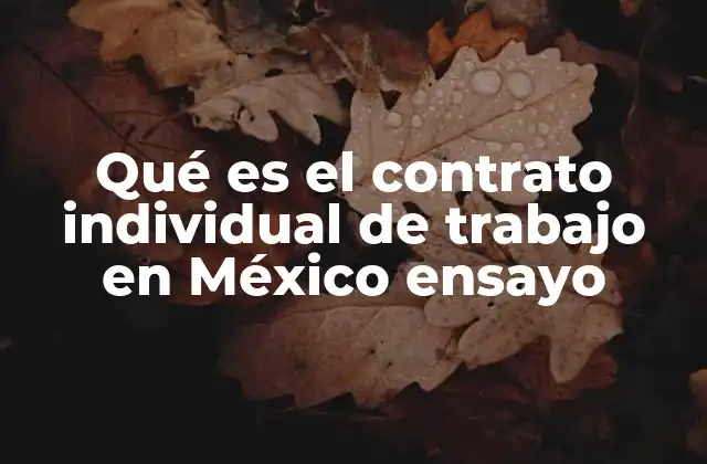 Qué es el Contrato Individual de Trabajo en México Ensayo