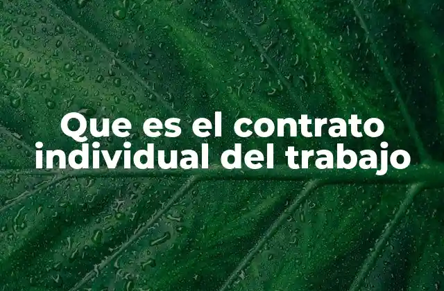 Que es el Contrato Individual Del Trabajo 2 La importancia de formalizar una relación laboral