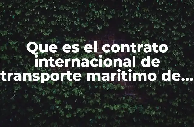 Que es el Contrato Internacional de Transporte Maritimo de Mercancia