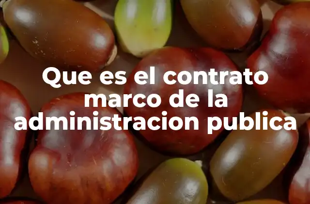 Que es el Contrato Marco de la Administracion Publica