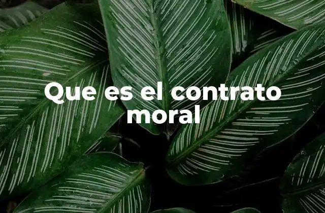 Que es el Contrato Moral