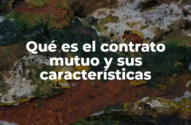 Qué es el Contrato Mutuo y Sus Características