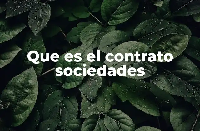 Que es el Contrato Sociedades