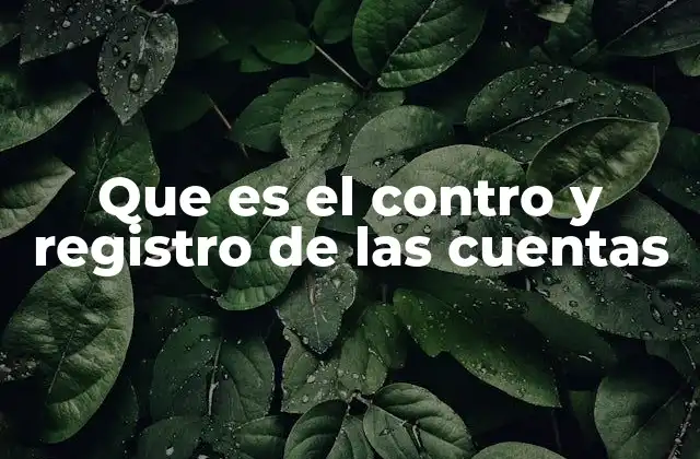 Que es el Contro y Registro de las Cuentas 2 La importancia del control financiero en la gestión empresarial