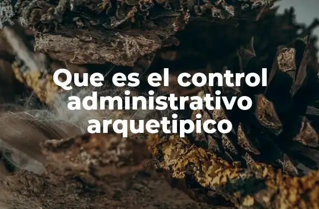 Que es el Control Administrativo Arquetipico