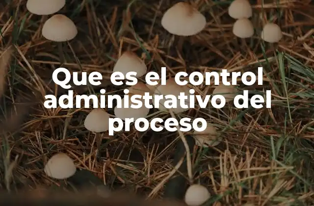 Que es el Control Administrativo Del Proceso