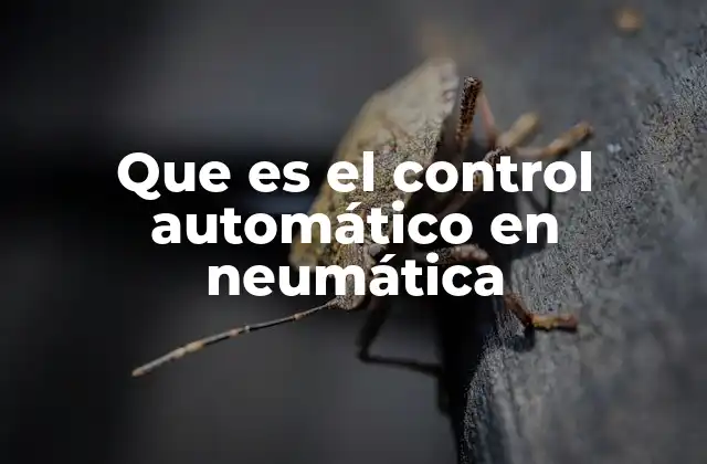 Que es el Control Automático en Neumática