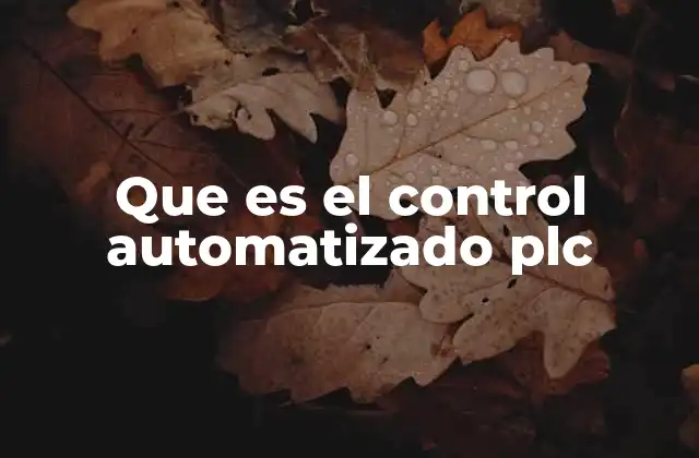 Que es el Control Automatizado Plc