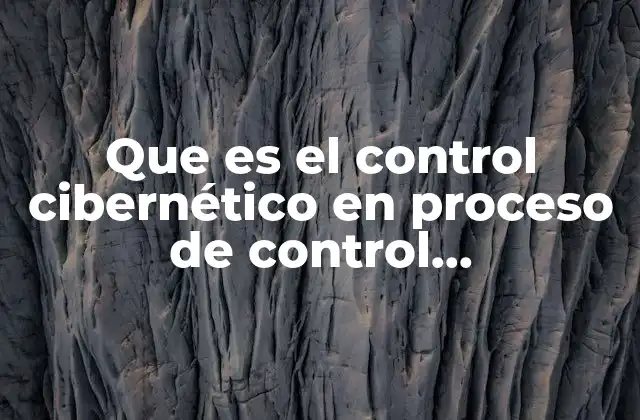Que es el Control Cibernético en Proceso de Control Organizacional
