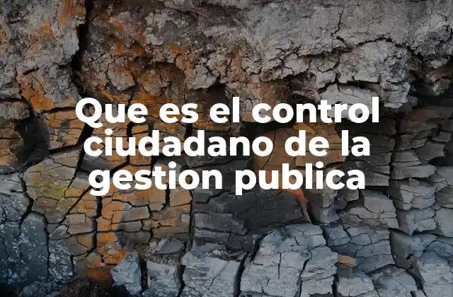 Que es el Control Ciudadano de la Gestion Publica