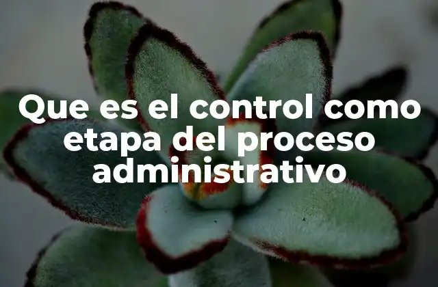 Que es el Control como Etapa Del Proceso Administrativo