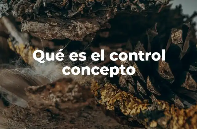 Qué es el Control Concepto