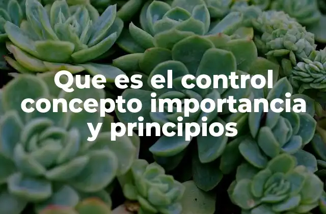 Que es el Control Concepto Importancia y Principios