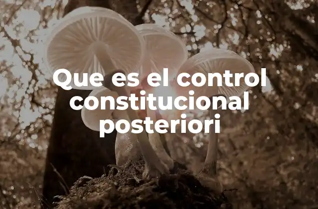 Que es el Control Constitucional Posteriori