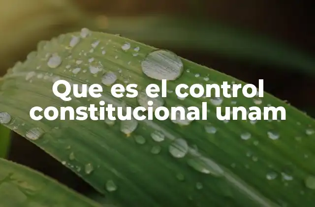 Que es el Control Constitucional Unam 2 El marco normativo que sustenta el control constitucional