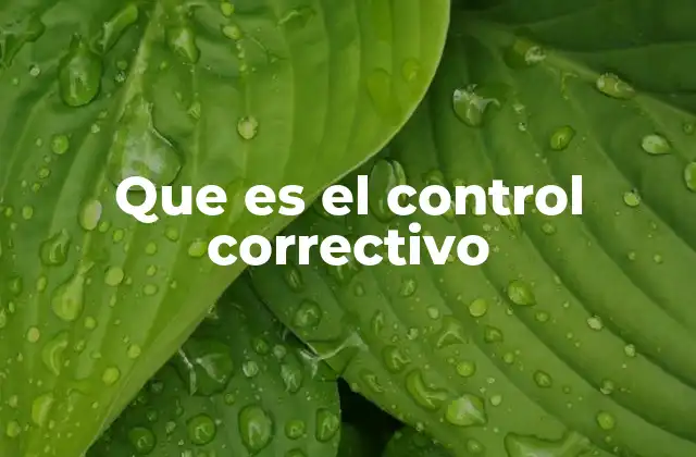 Que es el Control Correctivo