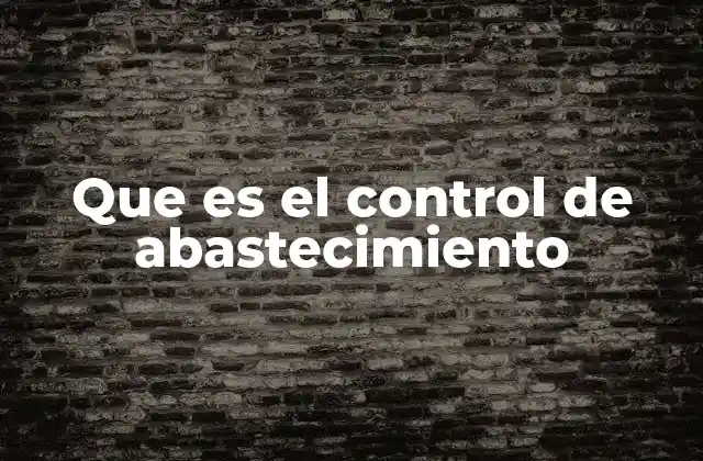 Que es el Control de Abastecimiento