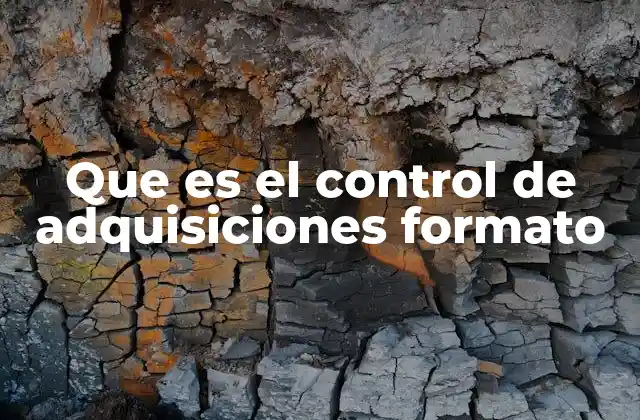 Que es el Control de Adquisiciones Formato