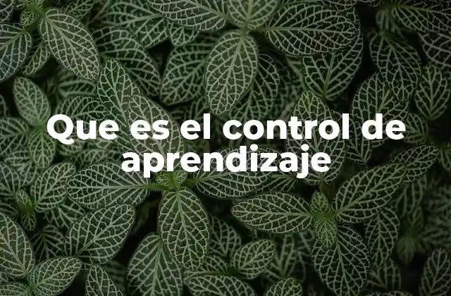 Que es el Control de Aprendizaje