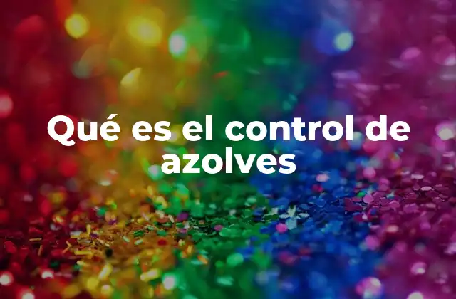 Qué es el Control de Azolves