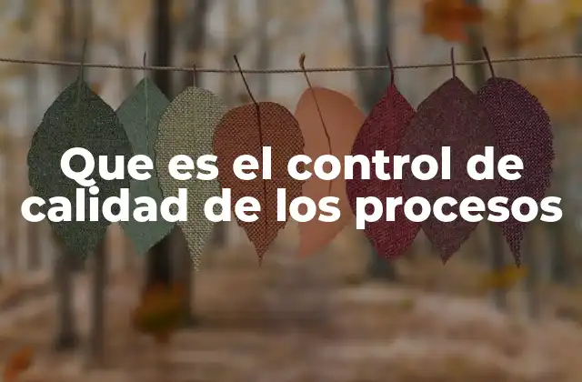 Que es el Control de Calidad de los Procesos