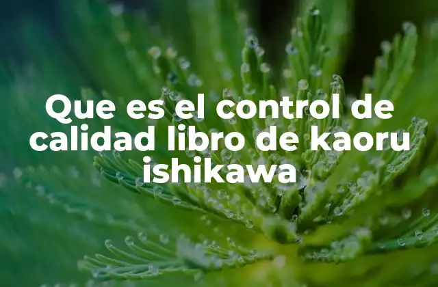 Que es el Control de Calidad Libro de Kaoru Ishikawa