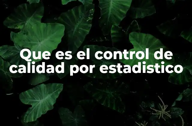 Que es el Control de Calidad por Estadistico