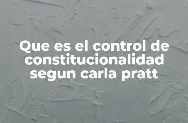 El rol del control de constitucionalidad en el Estado de derecho