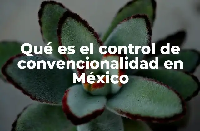 Qué es el Control de Convencionalidad en México