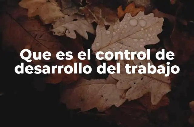 Que es el Control de Desarrollo Del Trabajo