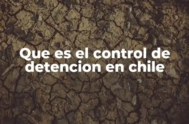 Que es el Control de Detencion en Chile