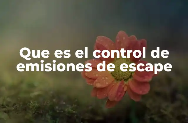 Que es el Control de Emisiones de Escape