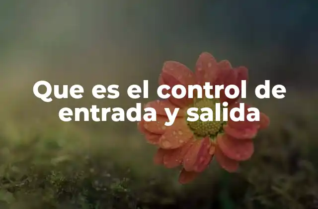 Que es el Control de Entrada y Salida
