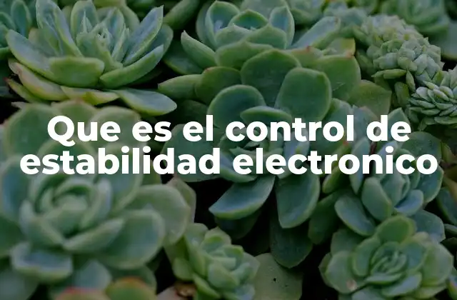 Que es el Control de Estabilidad Electronico