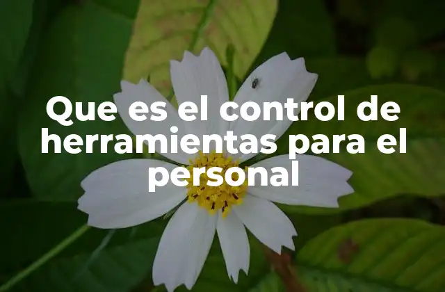 Que es el Control de Herramientas para el Personal 2 La importancia del control de herramientas en la gestión del personal