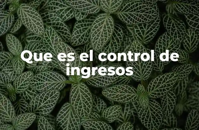 Que es el Control de Ingresos