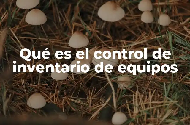 Qué es el Control de Inventario de Equipos