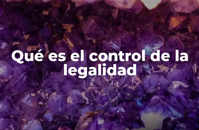 Qué es el Control de la Legalidad