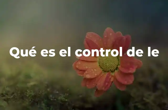 Qué es el Control de Le 2 El rol del control de le en la arquitectura jurídica