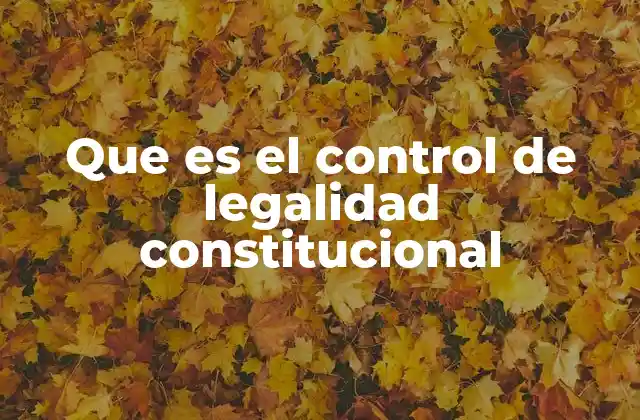 La importancia del control de constitucionalidad en el estado de derecho