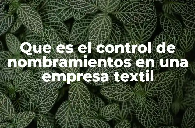 Que es el Control de Nombramientos en una Empresa Textil