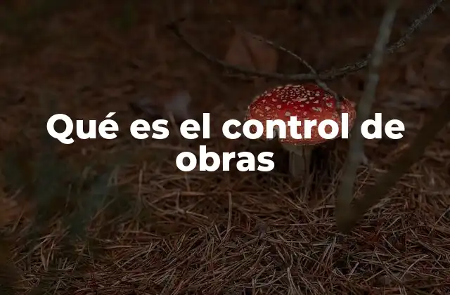 Qué es el Control de Obras