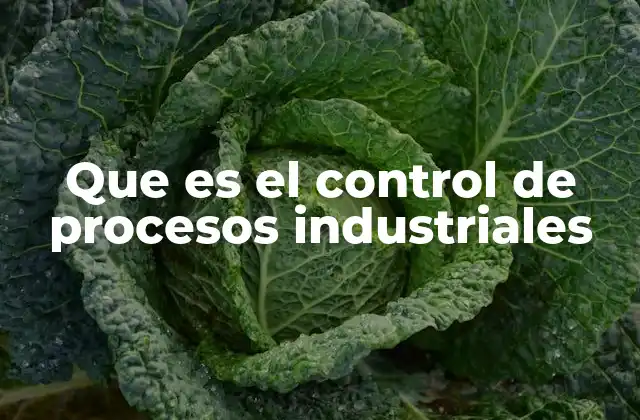 Que es el Control de Procesos Industriales