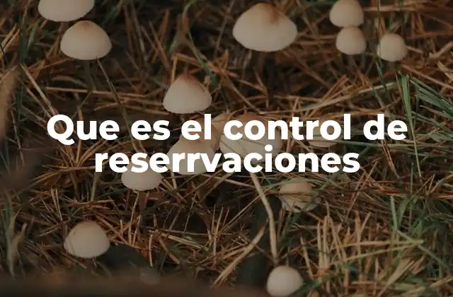 Que es el Control de Reserrvaciones