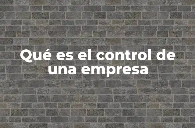 Qué es el Control de una Empresa