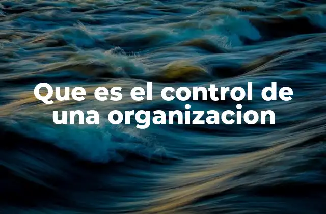 Que es el Control de una Organizacion